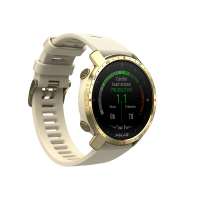 Polar Grit X pro (gold)