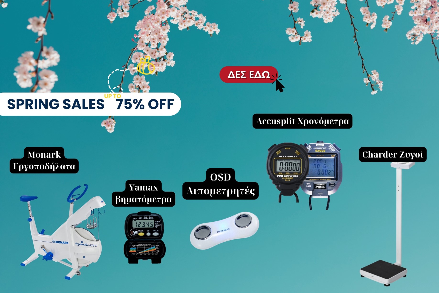 seasonsale6-sciencemarket