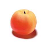 WA09748HRcut