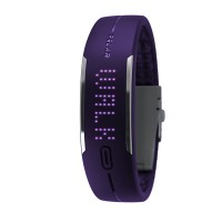 Polar Loop (blackcurrent)