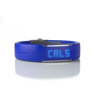 Polar Loop (blue)