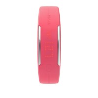 Polar Loop 2 (pink)
