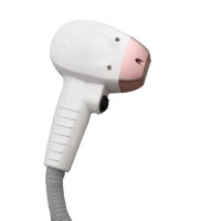 EPIL808