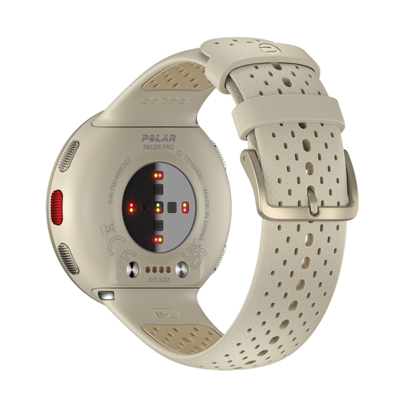 Pacer-Pro-Golden-Dusk-Back-OHR