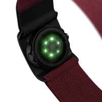 Polar Verity Sense (red)