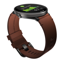 Polar Ignite3 titanium - leather