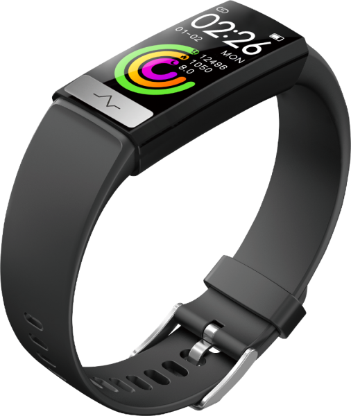 fitrus band 2