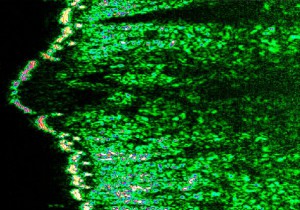 DUB SkinScanner 100 compact brochure02