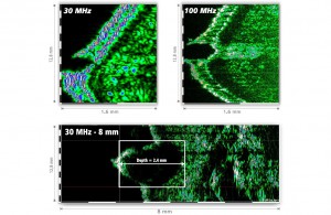 DUB SkinScanner 100 compact brochure03