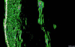 DUB cutis brochure12