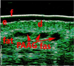 tpm Motivation Aesthetic medicine 03