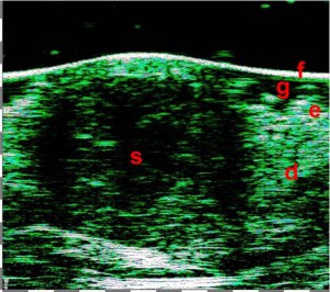 tpm Motivation Aesthetic medicine 08