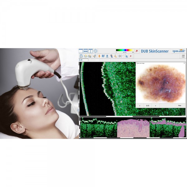 tpm Motivation general