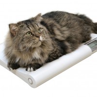 Zυγός pet Charder MS2410